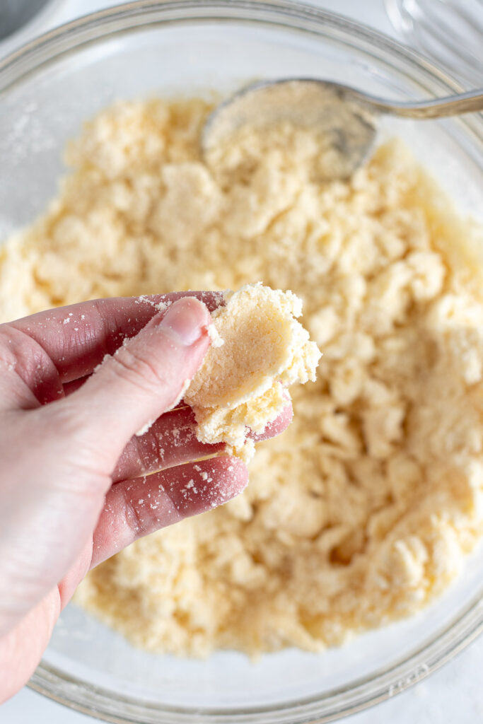 Close-up of fingers pinching a piece of pie dough, showing proper dough hydration.